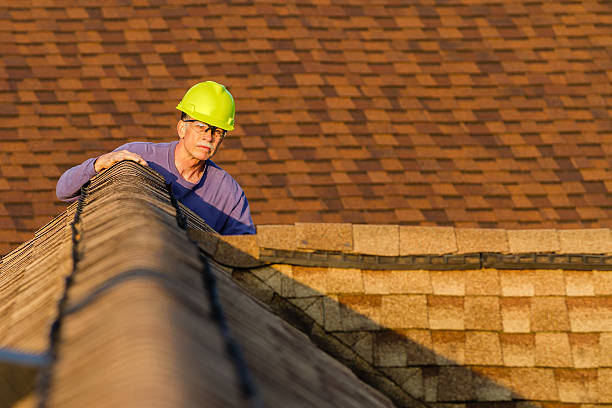 Best Roof Gutter Cleaning  in Fair Plain, MI